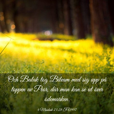 Picture 03 - 4 Mosebok 23:28 SV1917 - Och Balak tog Bileam med sig upp på toppen av - Bible Verse Picture