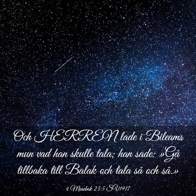 Picture 03 - 4 Mosebok 23:5 SV1917 - Och HERREN lade i Bileams mun vad han skulle - Bible Verse Picture
