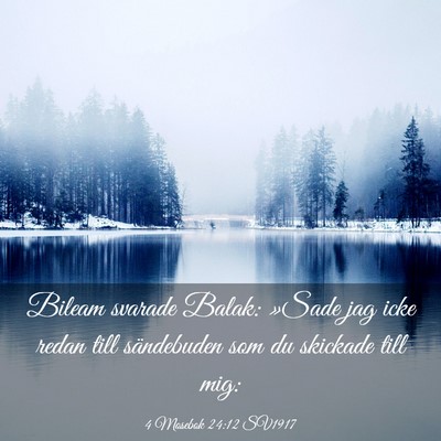 Picture 03 - 4 Mosebok 24:12 SV1917 - Bileam svarade Balak: »Sade jag icke redan till - Bible Verse Picture