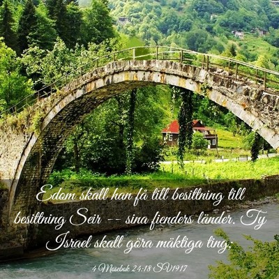 Picture 03 - 4 Mosebok 24:18 SV1917 - Edom skall han få till besittning till - Bible Verse Picture