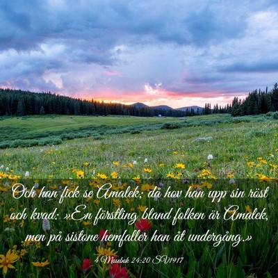 Picture 03 - 4 Mosebok 24:20 SV1917 - Och han fick se Amalek; då hov han upp sin röst - Bible Verse Picture