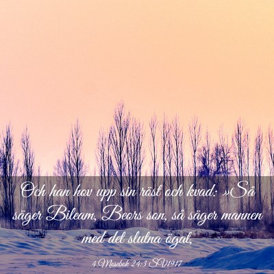 Picture 03 - 4 Mosebok 24:3 SV1917 - Och han hov upp sin röst och kvad: »Så säger - Bible Verse Picture