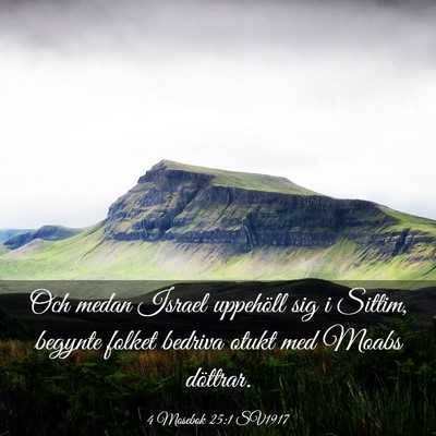 Picture 03 - 4 Mosebok 25:1 SV1917 - Och medan Israel uppehöll sig i Sittim, begynte - Bible Verse Picture