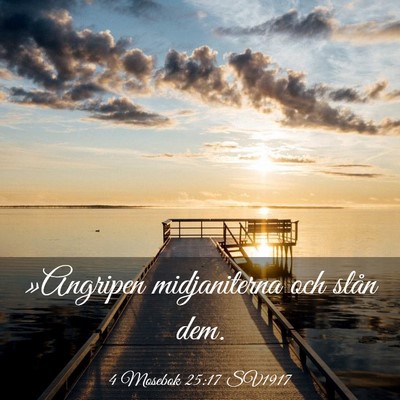 Picture 03 - 4 Mosebok 25:17 SV1917 - »Angripen midjaniterna och slån - Bible Verse Picture