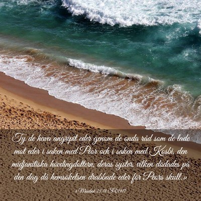 Picture 03 - 4 Mosebok 25:18 SV1917 - Ty de hava angripit eder genom de onda råd som - Bible Verse Picture