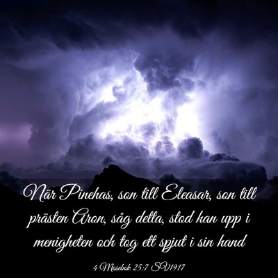 Picture 03 - 4 Mosebok 25:7 SV1917 - När Pinehas, son till Eleasar, son till prästen - Bible Verse Picture