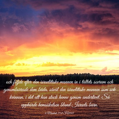Picture 03 - 4 Mosebok 25:8 SV1917 - och följde efter den israelitiske mannen in i - Bible Verse Picture