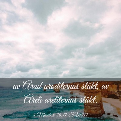 Picture 03 - 4 Mosebok 26:17 SV1917 - av Arod aroditernas släkt, av Areli areliternas - Bible Verse Picture