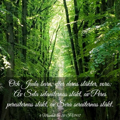 Picture 03 - 4 Mosebok 26:20 SV1917 - Och Juda barn, efter deras släkter, voro: Av - Bible Verse Picture
