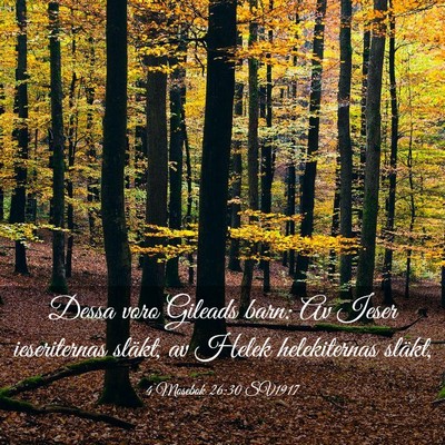 Picture 03 - 4 Mosebok 26:30 SV1917 - Dessa voro Gileads barn: Av Ieser ieseriternas - Bible Verse Picture
