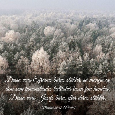 Picture 03 - 4 Mosebok 26:37 SV1917 - Dessa voro Efraims barns släkter, så många av - Bible Verse Picture