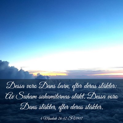 Picture 03 - 4 Mosebok 26:42 SV1917 - Dessa voro Dans barn, efter deras släkter: Av - Bible Verse Picture
