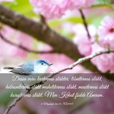 Picture 03 - 4 Mosebok 26:58 SV1917 - Dessa voro leviternas släkter: libniternas - Bible Verse Picture