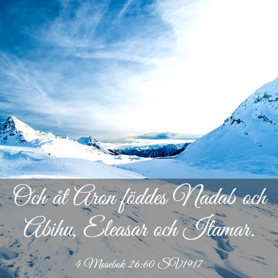 Picture 03 - 4 Mosebok 26:60 SV1917 - Och åt Aron föddes Nadab och Abihu, Eleasar och - Bible Verse Picture