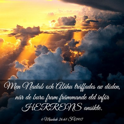 Picture 03 - 4 Mosebok 26:61 SV1917 - Men Nadab och Abihu träffades av döden, när de - Bible Verse Picture