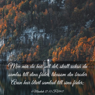 Picture 03 - 4 Mosebok 27:13 SV1917 - Men när du har sett det, skall också du samlas - Bible Verse Picture