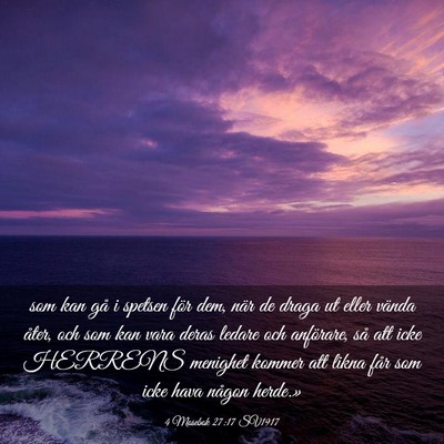 Picture 03 - 4 Mosebok 27:17 SV1917 - som kan gå i spetsen för dem, när de draga ut - Bible Verse Picture