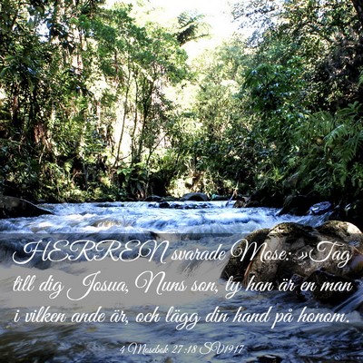 Picture 03 - 4 Mosebok 27:18 SV1917 - HERREN svarade Mose: »Tag till dig Josua, Nuns - Bible Verse Picture