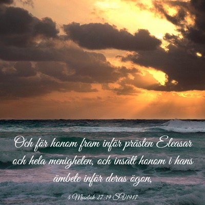 Picture 03 - 4 Mosebok 27:19 SV1917 - Och för honom fram inför prästen Eleasar och - Bible Verse Picture