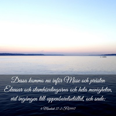 Picture 03 - 4 Mosebok 27:2 SV1917 - Dessa kommo nu inför Mose och prästen Eleasar - Bible Verse Picture