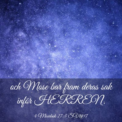 Picture 03 - 4 Mosebok 27:5 SV1917 - och Mose bar fram deras sak inför - Bible Verse Picture