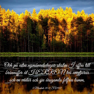 Picture 03 - 4 Mosebok 28:11 SV1917 - Och på edra nymånadsdagar skolen I offra till - Bible Verse Picture