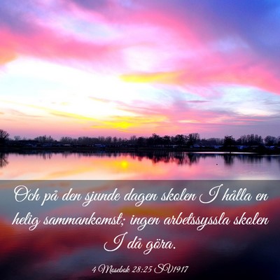 Picture 03 - 4 Mosebok 28:25 SV1917 - Och på den sjunde dagen skolen I hålla en helig - Bible Verse Picture