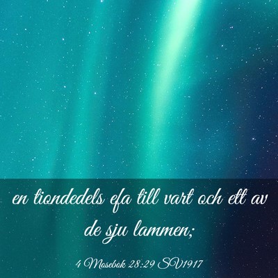 Picture 03 - 4 Mosebok 28:29 SV1917 - en tiondedels efa till vart och ett av de sju - Bible Verse Picture
