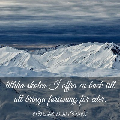 Picture 03 - 4 Mosebok 28:30 SV1917 - tillika skolen I offra en bock till att bringa - Bible Verse Picture