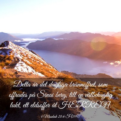 Picture 03 - 4 Mosebok 28:6 SV1917 - Detta är det dagliga brännoffret, som offrades - Bible Verse Picture