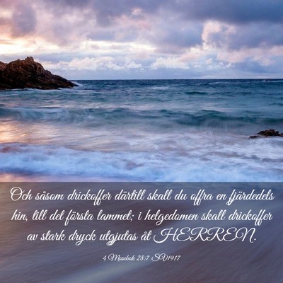 Picture 03 - 4 Mosebok 28:7 SV1917 - Och såsom drickoffer därtill skall du offra en - Bible Verse Picture