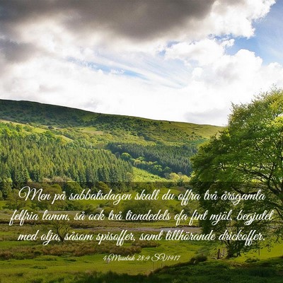 Picture 03 - 4 Mosebok 28:9 SV1917 - Men på sabbatsdagen skall du offra två - Bible Verse Picture
