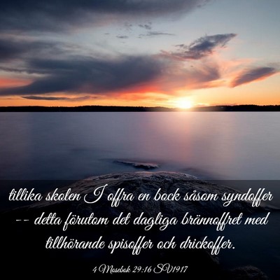 Picture 03 - 4 Mosebok 29:16 SV1917 - tillika skolen I offra en bock såsom syndoffer - Bible Verse Picture