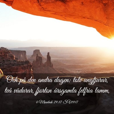 Picture 03 - 4 Mosebok 29:17 SV1917 - Och på den andra dagen: tolv ungtjurar, två - Bible Verse Picture