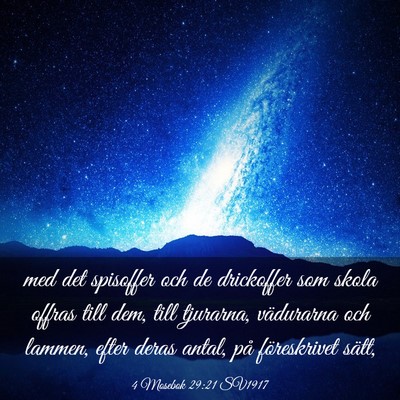 Picture 03 - 4 Mosebok 29:21 SV1917 - med det spisoffer och de drickoffer som skola - Bible Verse Picture