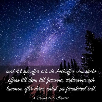 Picture 03 - 4 Mosebok 29:24 SV1917 - med det spisoffer och de drickoffer som skola - Bible Verse Picture