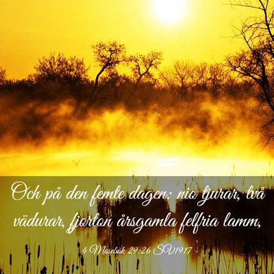 Picture 03 - 4 Mosebok 29:26 SV1917 - Och på den femte dagen: nio tjurar, två - Bible Verse Picture