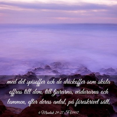 Picture 03 - 4 Mosebok 29:27 SV1917 - med det spisoffer och de drickoffer som skola - Bible Verse Picture