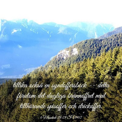 Picture 03 - 4 Mosebok 29:28 SV1917 - tillika också en syndoffersbock -- detta - Bible Verse Picture