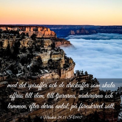 Picture 03 - 4 Mosebok 29:33 SV1917 - med det spisoffer och de drickoffer som skola - Bible Verse Picture