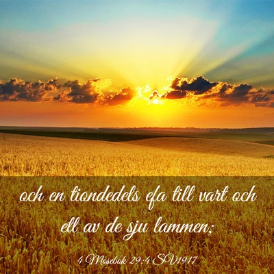 Picture 03 - 4 Mosebok 29:4 SV1917 - och en tiondedels efa till vart och ett av de sju - Bible Verse Picture