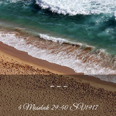 Picture 03 - 4 Mosebok 29:40 SV1917 -  - Bible Verse Picture