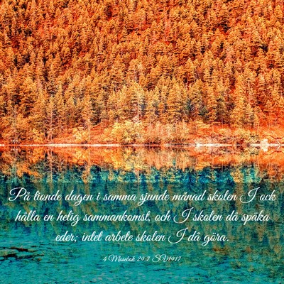 Picture 03 - 4 Mosebok 29:7 SV1917 - På tionde dagen i samma sjunde månad skolen I - Bible Verse Picture