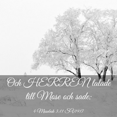 Picture 03 - 4 Mosebok 3:11 SV1917 - Och HERREN talade till Mose och - Bible Verse Picture