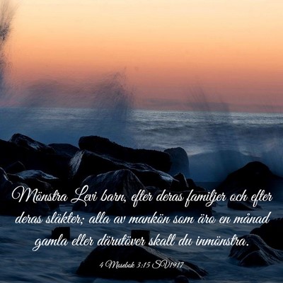 Picture 03 - 4 Mosebok 3:15 SV1917 - Mönstra Levi barn, efter deras familjer och - Bible Verse Picture