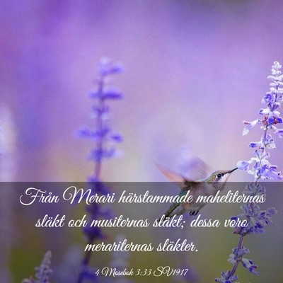 Picture 03 - 4 Mosebok 3:33 SV1917 - Från Merari härstammade maheliternas släkt och - Bible Verse Picture