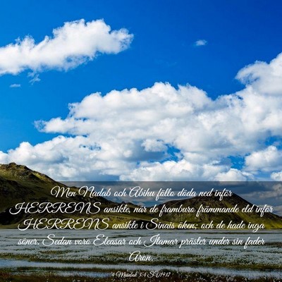 Picture 03 - 4 Mosebok 3:4 SV1917 - Men Nadab och Abihu föllo döda ned inför - Bible Verse Picture