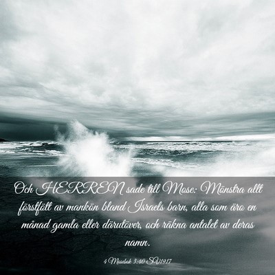 Picture 03 - 4 Mosebok 3:40 SV1917 - Och HERREN sade till Mose: Mönstra allt - Bible Verse Picture
