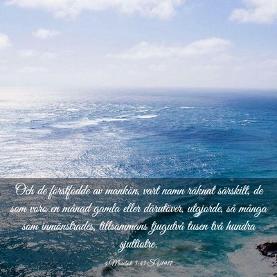 Picture 03 - 4 Mosebok 3:43 SV1917 - Och de förstfödde av mankön, vart namn räknat - Bible Verse Picture