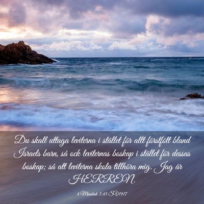 Picture 03 - 4 Mosebok 3:45 SV1917 - Du skall uttaga leviterna i stället för allt - Bible Verse Picture